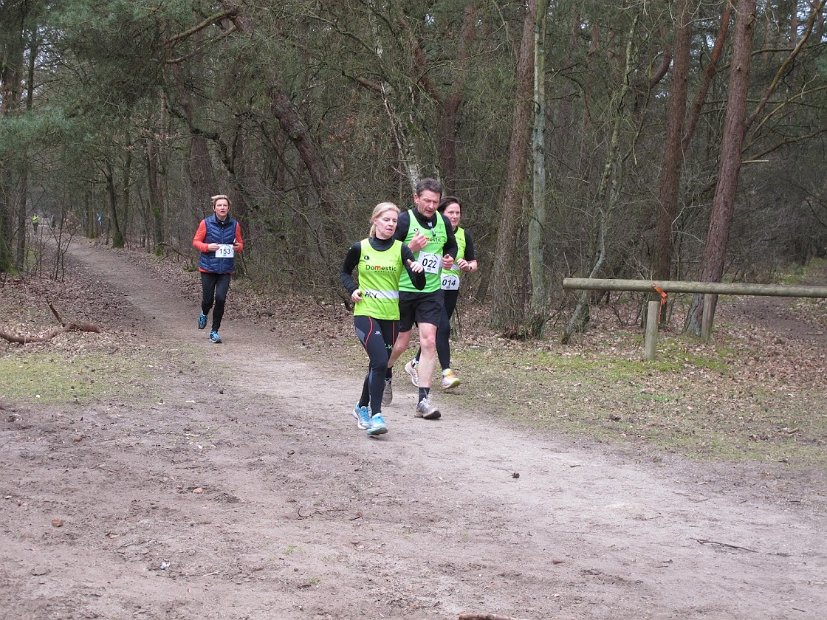 Bosloop Brecht - 63